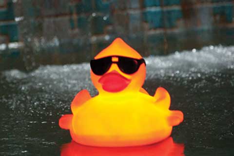 Solar Lighted Duck 141714