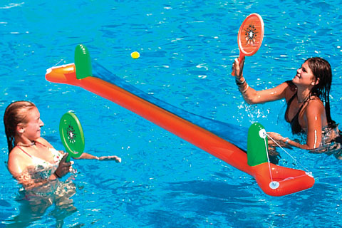 Paddle Pong Pool Game 101511