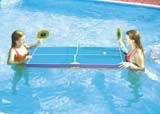 101598 - Floating Pool Pong Table