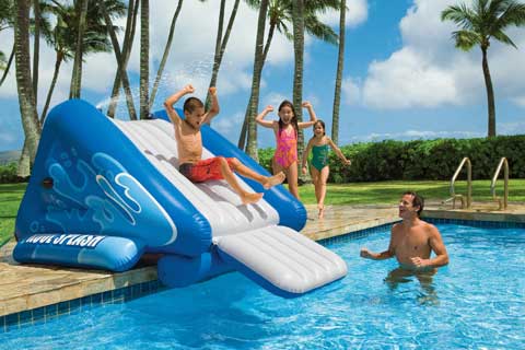 Giant Inflatable Water Slide  131832