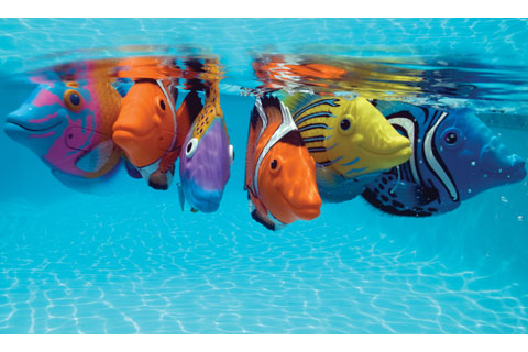 Rainbow Reef Motorized Fish 151387