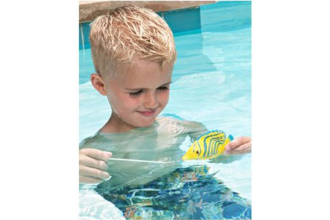 Rainbow Reef Swimming Guppies 151389