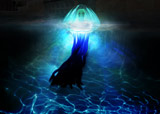 151409 - Jellyfish Pool Light