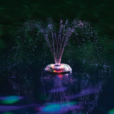 Dancing Waters Light and Fountain Show