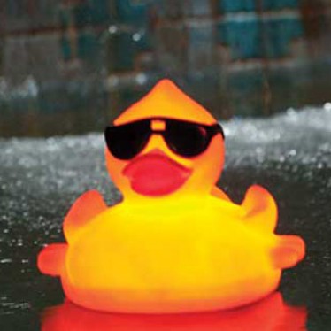 Solar Lighted Duck Chlorinator