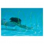 Swimline Underwater Swimming Hoops