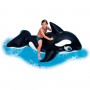 Intex Jumbo Whale Pool Float