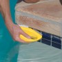 Pool Brush and Pumice Stone