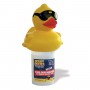 Cool Duck Floating Chlorinator