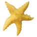 Inflatable Starfish - 20 inches