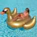 Swimline's Inflatable Golden Goose
