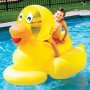 Swimline Giant Ducky