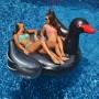 Swimline Giant Inflatable Black Swan
