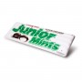 Junior Mints Candy Pool Float