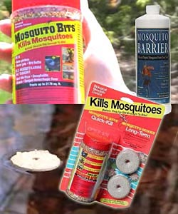 Eliminate Mosquito Breeding