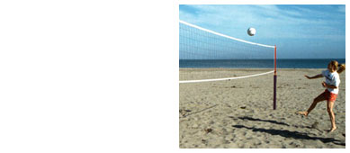 Cobra Volleyball System